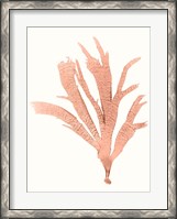 Framed Vivid Coral Seaweed IV