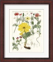 Framed Bright Botanicals IV