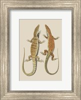 Framed Antique Lizards I