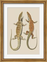 Framed Antique Lizards I