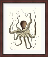Framed Antique Octopus Collection I