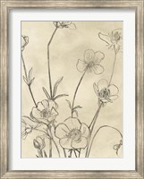 Framed Vintage Wildflowers I