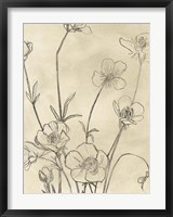 Framed Vintage Wildflowers I