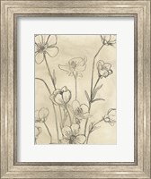 Framed Vintage Wildflowers II
