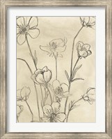 Framed Vintage Wildflowers II