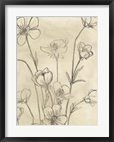 Vintage Wildflowers II Framed Print