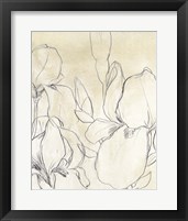 Framed 'Iris Garden Sketch I' border=