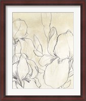 Framed Iris Garden Sketch I