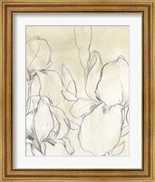 Framed 'Iris Garden Sketch I' border=