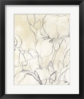 Framed 'Iris Garden Sketch II' border=