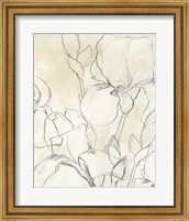 Framed Iris Garden Sketch II