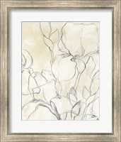 Framed 'Iris Garden Sketch II' border=