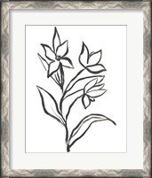 Framed Jonquil Gesture I