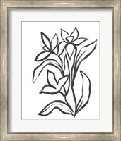 Framed Jonquil Gesture II