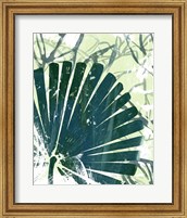 Framed Palm Pastiche II