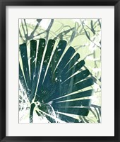 Palm Pastiche II Framed Print