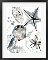 Framed Cerulean Seashells I