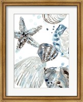 Framed Cerulean Seashells II