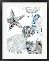 Framed Cerulean Seashells II