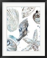 Framed Cerulean Seashells III