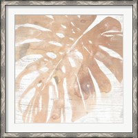 Framed Neutral Palm Fossil I