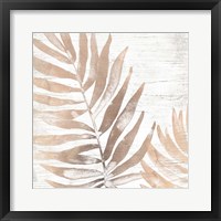 Neutral Palm Fossil II Framed Print