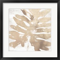 Neutral Palm Fossil V Framed Print