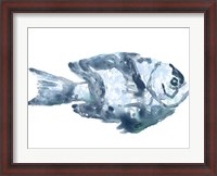 Framed Blue Ocean Fish III