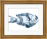 Framed Blue Ocean Fish III