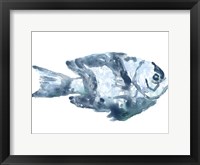 Blue Ocean Fish III Framed Print