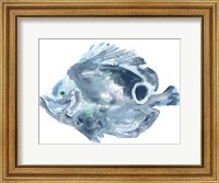 Framed Blue Ocean Fish IV