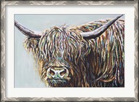 Framed Woolly Highland I