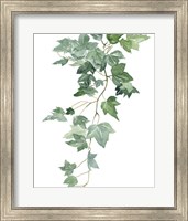 Framed Branch Study II