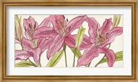 Framed Pink Lilies I