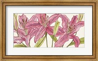 Framed Pink Lilies I