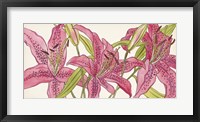 Framed Pink Lilies II