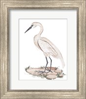Framed White Heron I