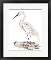 Framed 'White Heron I' border=