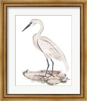 Framed 'White Heron I' border=
