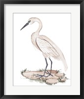 A White Heron I Framed Print