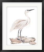 A White Heron II Framed Print