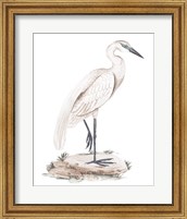Framed White Heron IV
