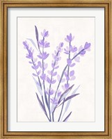 Framed Lavender Land I
