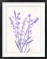 Framed Lavender Land I