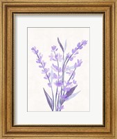 Framed Lavender Land II