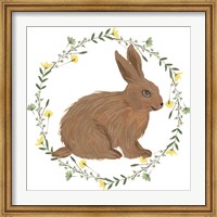 Framed Happy Bunny Day III