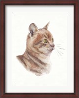 Framed Orange Cat I