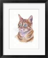 Framed Orange Cat II