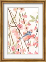 Framed Cherry Blossom Perch I
