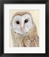 Framed Common Barn Owl I